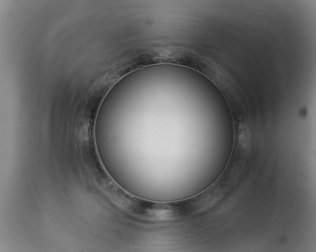 X0000112880514200908281640