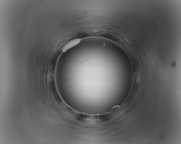 X0000112880515200908281640