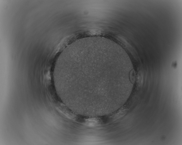 X0000112880516200908281640