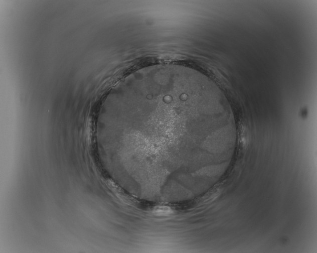 X0000112880519200908281640