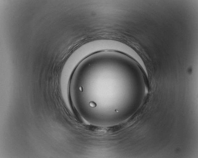 X0000112880521200908281640