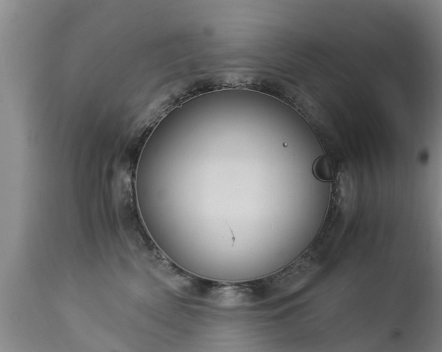 X0000112880522200908281640