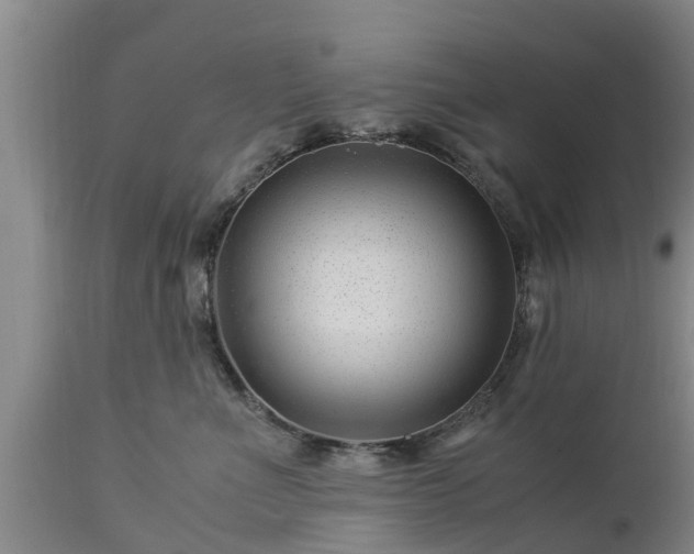 X0000112880523200908281640