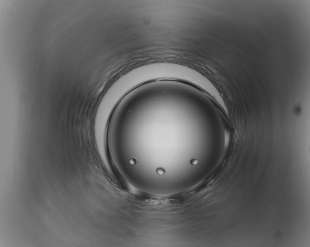 X0000112880524200908281640