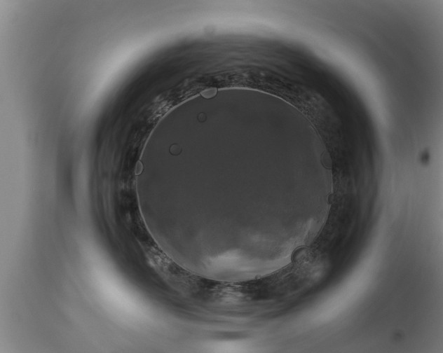 X0000112880526200908281640