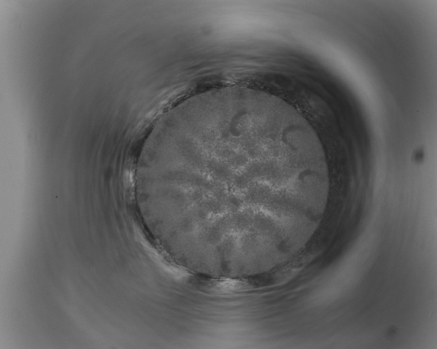 X0000112880527200908281640