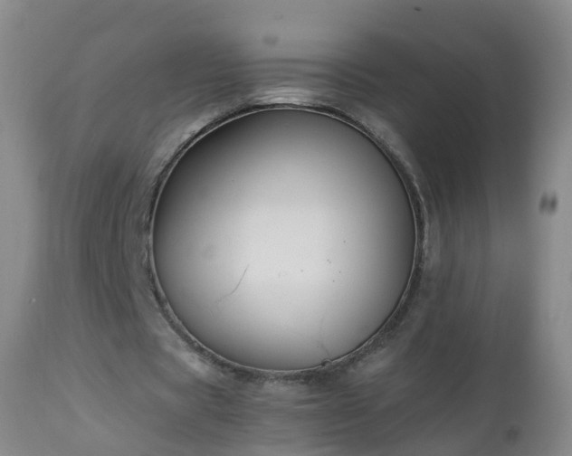 X0000112880529200908281639