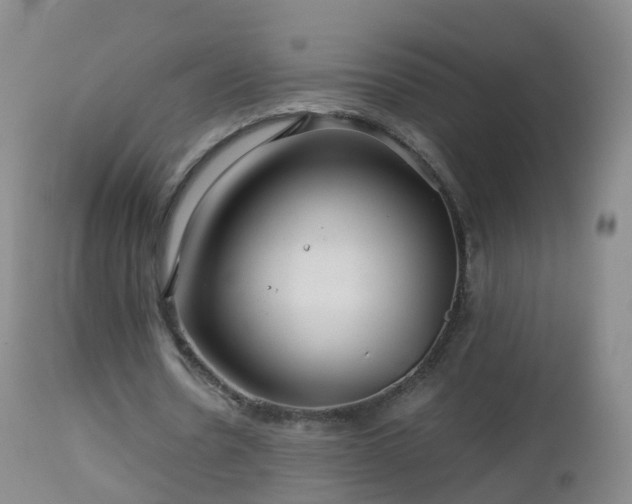 X0000112880530200908281639