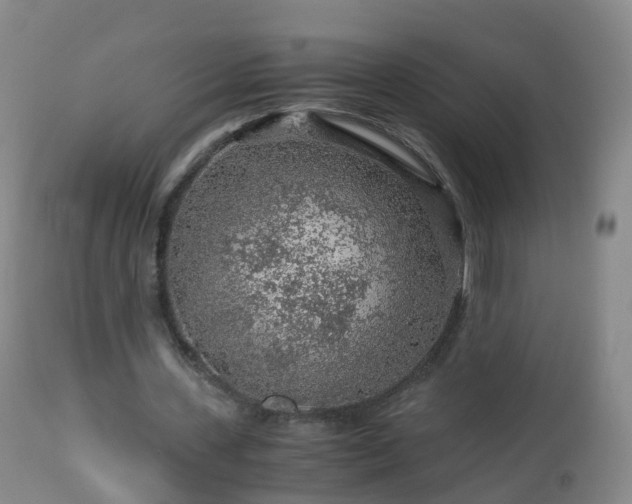 X0000112880531200908281639