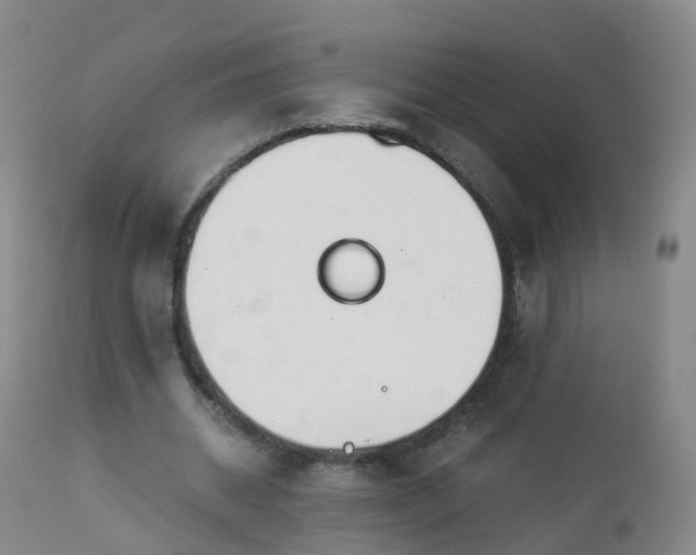 X0000112880534200908281639