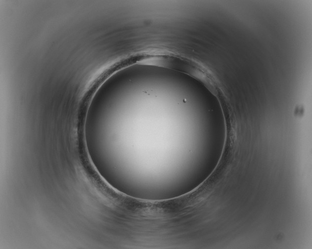 X0000112880535200908281639