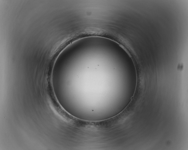 X0000112880538200908281639