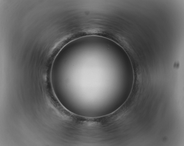 X0000112880539200908281639