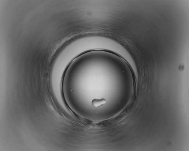 X0000112880540200908281639