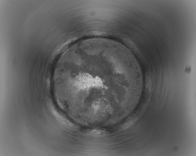 X0000112880542200908281639