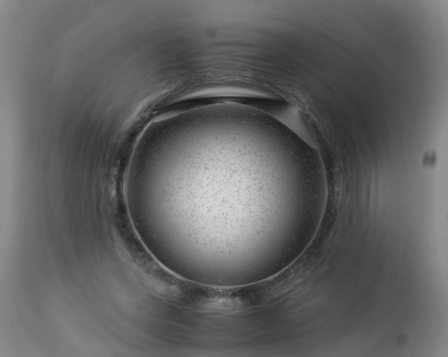 X0000112880543200908281639