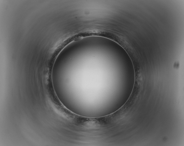 X0000112880544200908281639