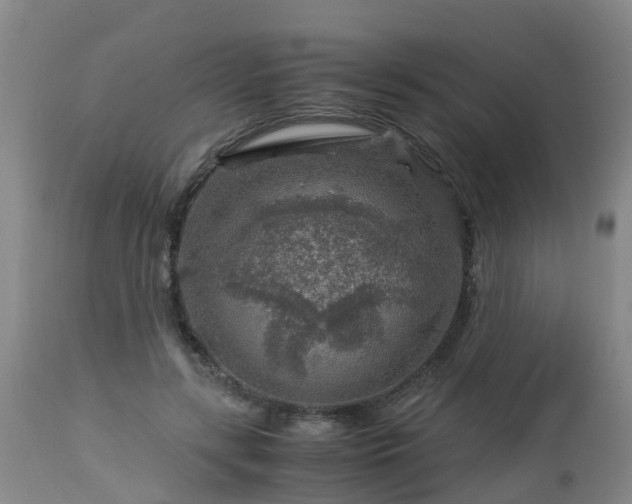 X0000112880547200908281640