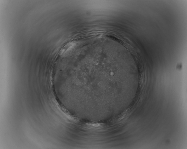 X0000112880553200908281640