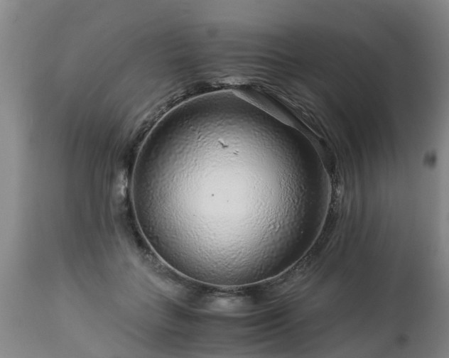 X0000112880555200908281640