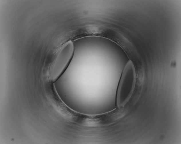 X0000112880556200908281640