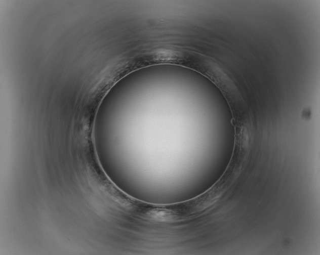 X0000112880557200908281640