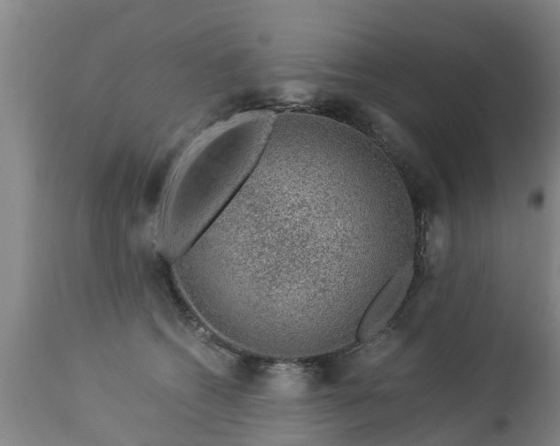 X0000112880562200908281640