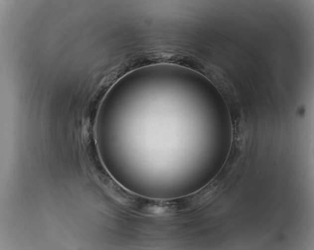 X0000112880563200908281640