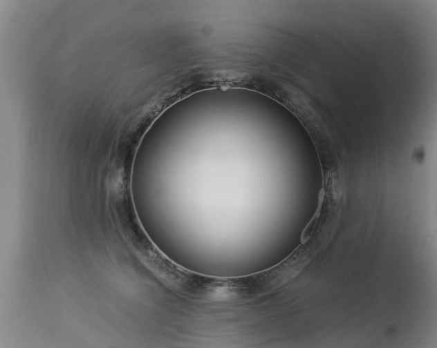 X0000112880564200908281640