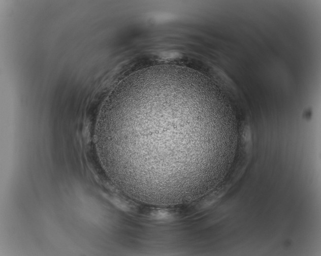 X0000112880565200908281640