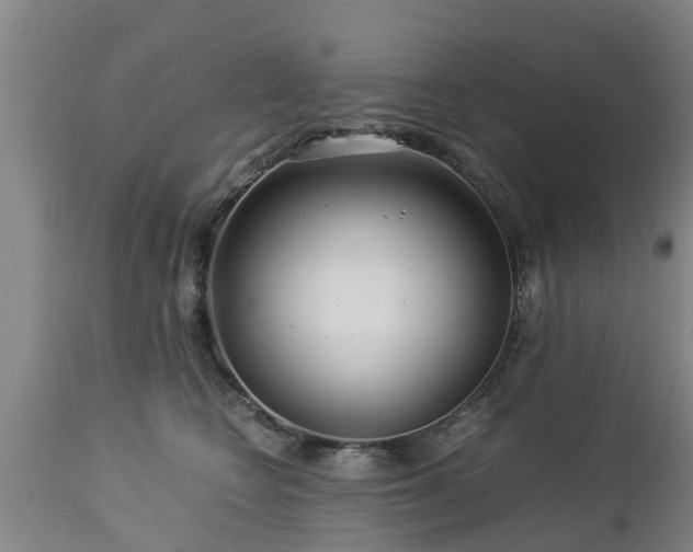 X0000112880566200908281640