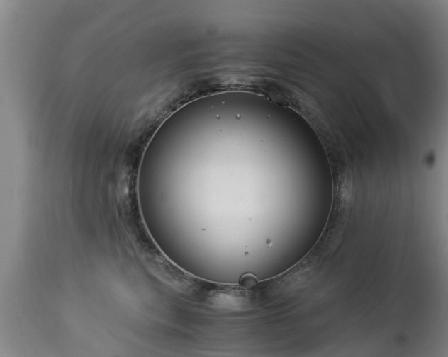 X0000112880567200908281640