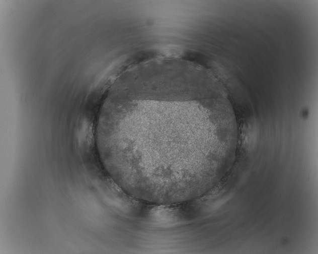 X0000112880568200908281640