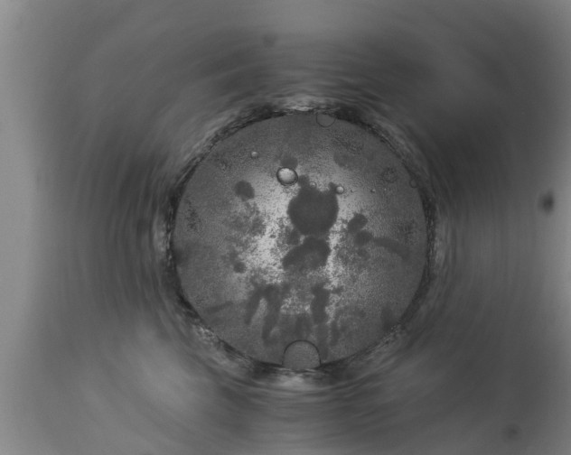 X0000112880569200908281640