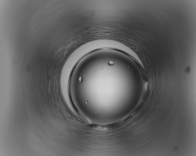 X0000112880570200908281640