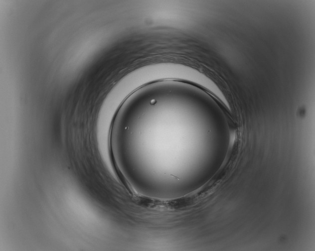 X0000112880572200908281640