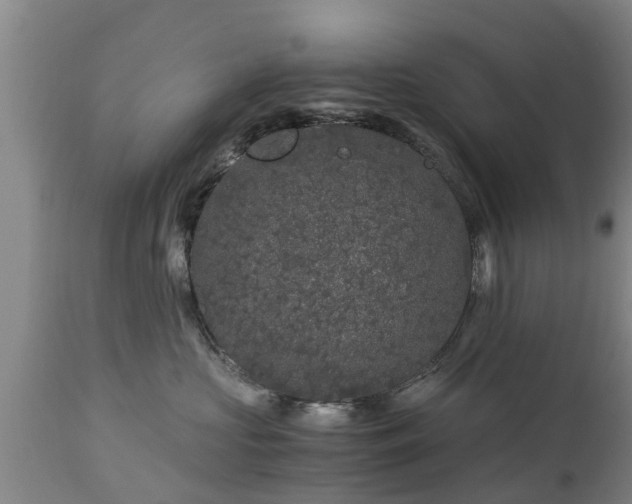 X0000112880573200908281640