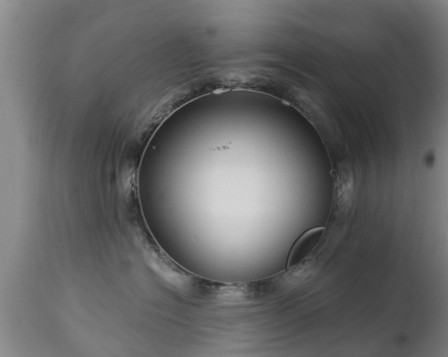 X0000112880574200908281640