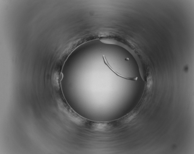 X0000112880575200908281640