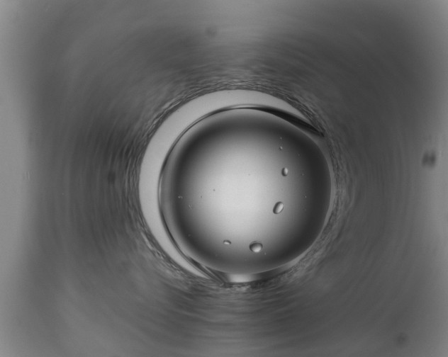 X0000112880576200908281640