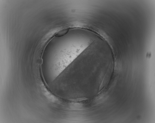 X0000112880577200908281639