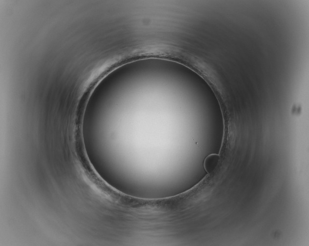 X0000112880578200908281639