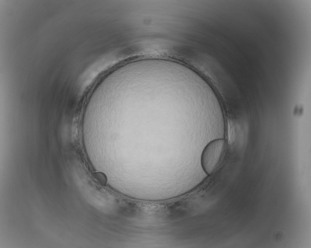 X0000112880579200908281639