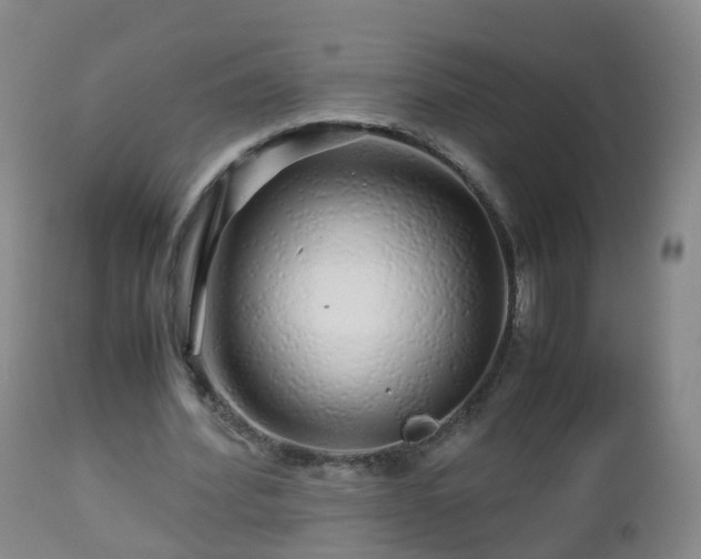 X0000112880580200908281639