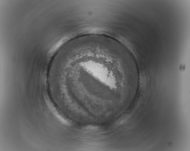 X0000112880581200908281639