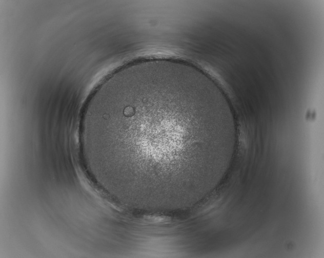 X0000112880582200908281639