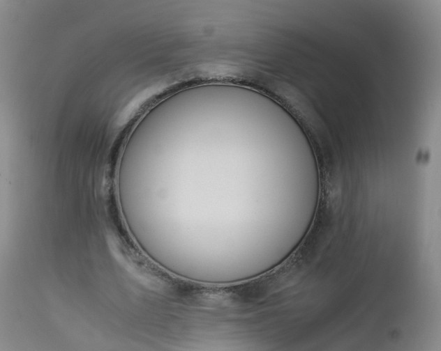 X0000112880583200908281639