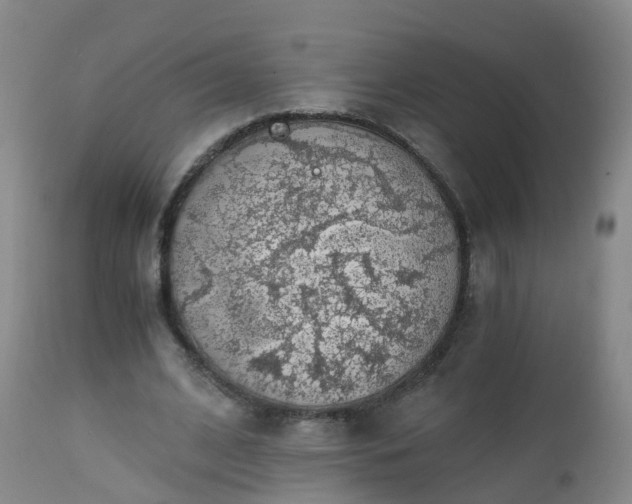 X0000112880584200908281639