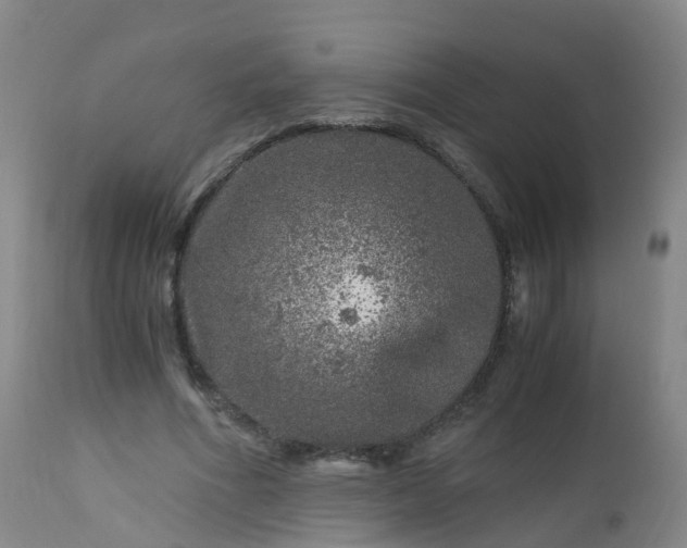 X0000112880586200908281639