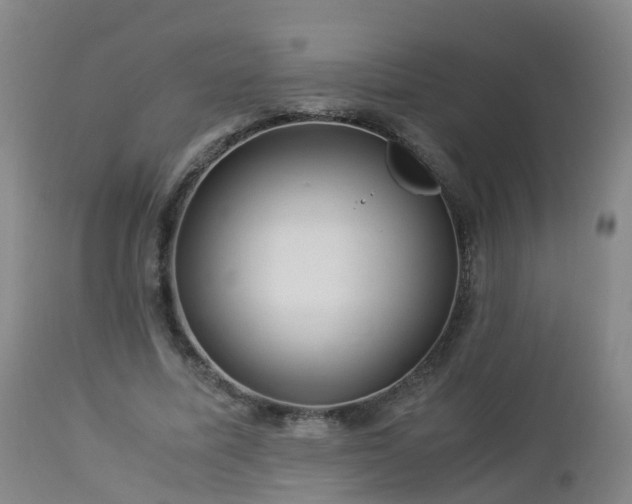 X0000112880587200908281639